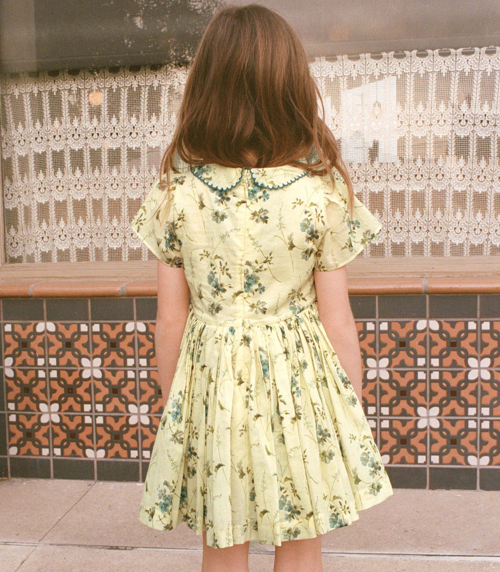 DUA DRESS -- SUNSHINE PRAIRIE ROSE